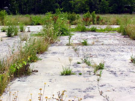 Starlite Drive-In Theatre - Concession Foundation - Photo From Water Winter Wonderland (newer photo)